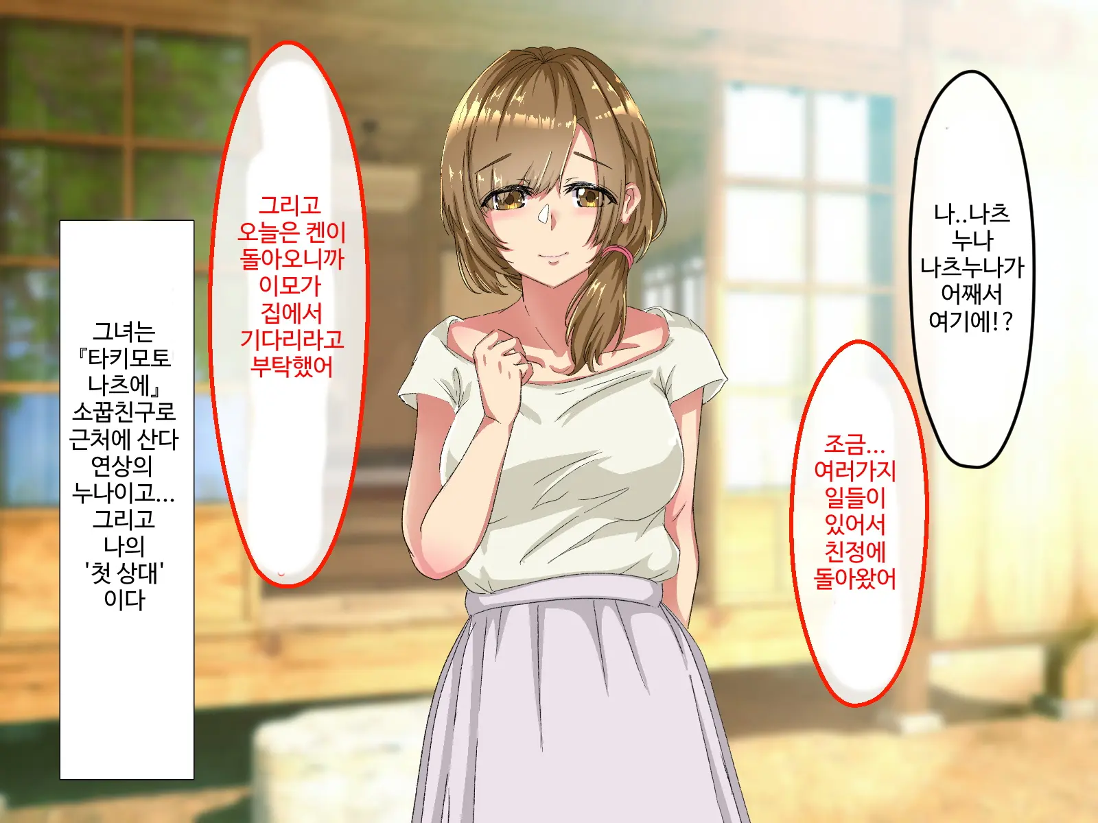 Erokute Chorokute Nandemo Shite Kureru Onee-San-Tachi Wa, Suki Desu Ka? | 야하고 알기쉬운 뭐든지 해주는 누나들은 좋아하나요?